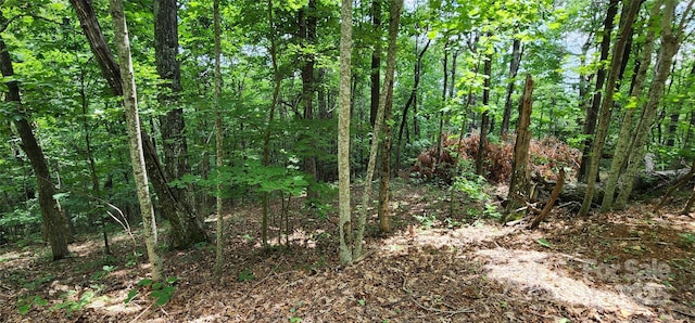LOT31 White Oak Mountain Rd, Columbus, NC 28722 - photo 9
