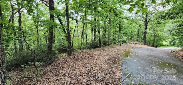 LOT31 White Oak Mountain Rd, Columbus, NC 28722 - photo 10