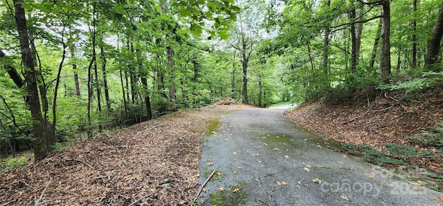 LOT31 White Oak Mountain Rd, Columbus, NC 28722 - photo 11