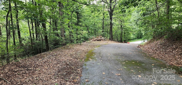 LOT31 White Oak Mountain Rd, Columbus, NC 28722 - photo 12