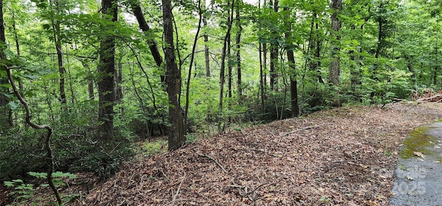 LOT31 White Oak Mountain Rd, Columbus, NC 28722 - photo 13