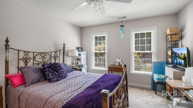 7191 Johns Point Ct, Liberty, NC 27298 - photo 41