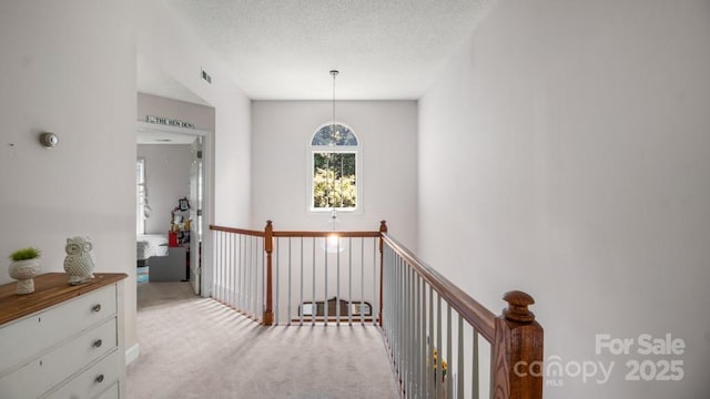 7191 Johns Point Ct, Liberty, NC 27298 - photo 45