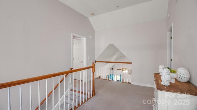 7191 Johns Point Ct, Liberty, NC 27298 - photo 46