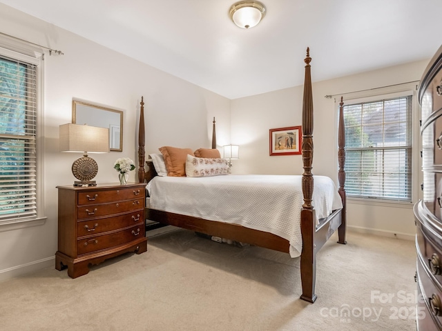 6009 Brace Rd, Charlotte, NC 28211 - photo 13