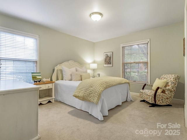 6009 Brace Rd, Charlotte, NC 28211 - photo 16