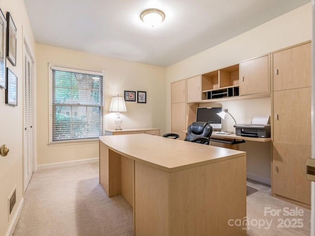 6009 Brace Rd, Charlotte, NC 28211 - photo 19