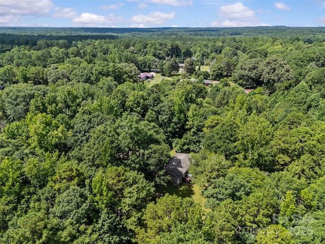 715 Eagle Heart Ln, Rock Hill, SC 29730 - photo 38