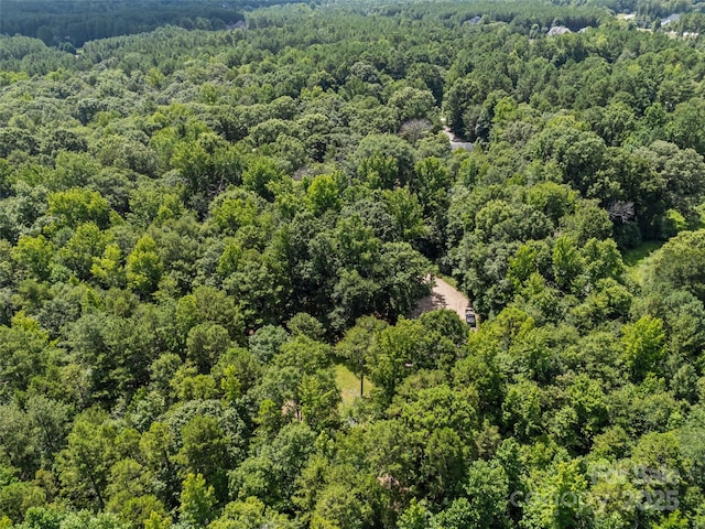 715 Eagle Heart Ln, Rock Hill, SC 29730 - photo 41