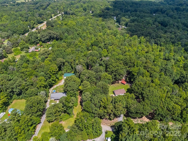 715 Eagle Heart Ln, Rock Hill, SC 29730 - photo 43
