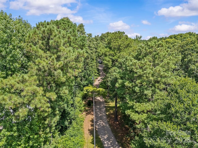 715 Eagle Heart Ln, Rock Hill, SC 29730 - photo 47