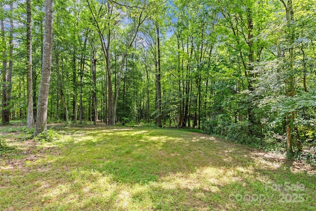 715 Eagle Heart Ln, Rock Hill, SC 29730 - photo 48