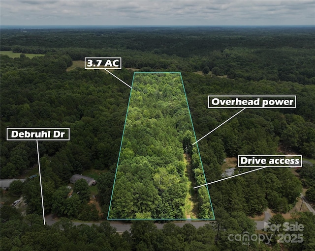 3.7AC Debruhl Rd, Chester, SC 29706 - photo 1