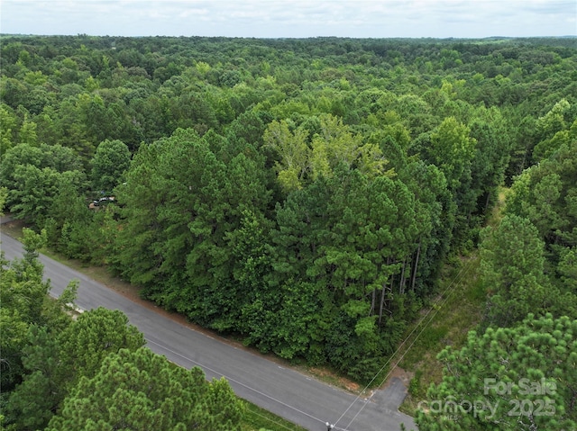 3.7AC Debruhl Rd, Chester, SC 29706 - photo 2