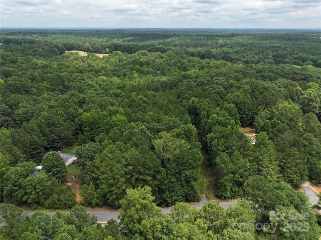 3.7AC Debruhl Rd, Chester, SC 29706 - photo 3