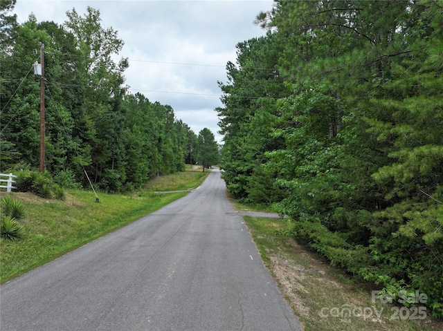 3.7AC Debruhl Rd, Chester, SC 29706 - photo 4