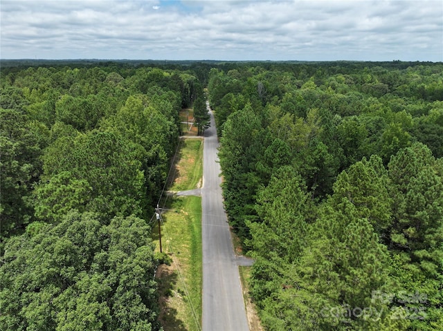 3.7AC Debruhl Rd, Chester, SC 29706 - photo 5