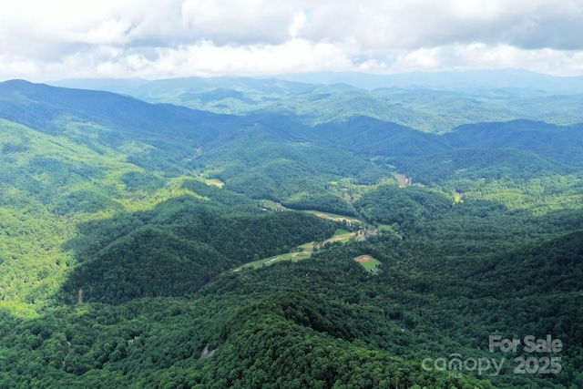 999 Shumont Rd, Black Mountain, NC 28711 - photo 1