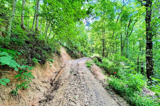 999 Shumont Rd, Black Mountain, NC 28711 - photo 17