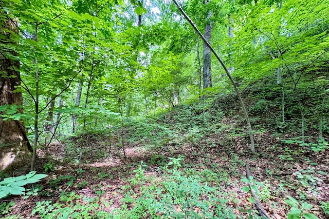 999 Shumont Rd, Black Mountain, NC 28711 - photo 18