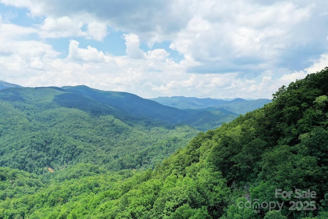 999 Shumont Rd, Black Mountain, NC 28711 - photo 6