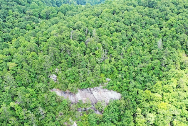 999 Shumont Rd, Black Mountain, NC 28711 - photo 3