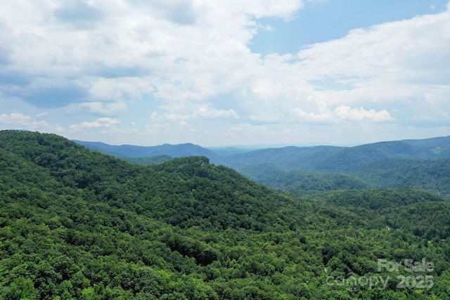 999 Shumont Rd, Black Mountain, NC 28711 - photo 5