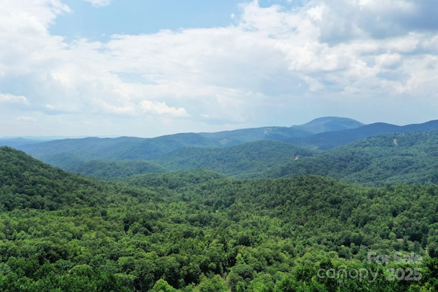 999 Shumont Rd, Black Mountain, NC 28711 - photo 7