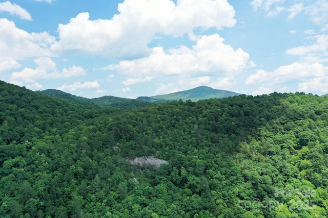 999 Shumont Rd, Black Mountain, NC 28711 - photo 8