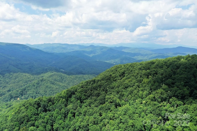 999 Shumont Rd, Black Mountain, NC 28711 - photo 10