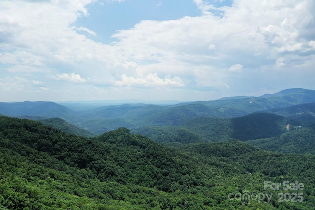999 Shumont Rd, Black Mountain, NC 28711 - photo 9