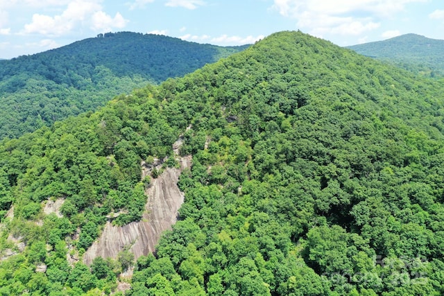 999 Shumont Rd, Black Mountain, NC 28711 - photo 2