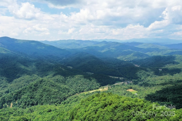 999 Shumont Rd, Black Mountain, NC 28711 - photo 11