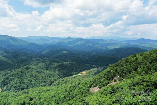 999 Shumont Rd, Black Mountain, NC 28711 - photo 12