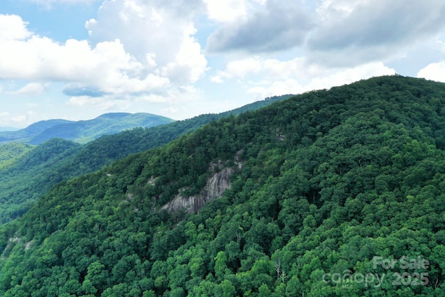 999 Shumont Rd, Black Mountain, NC 28711 - photo 14