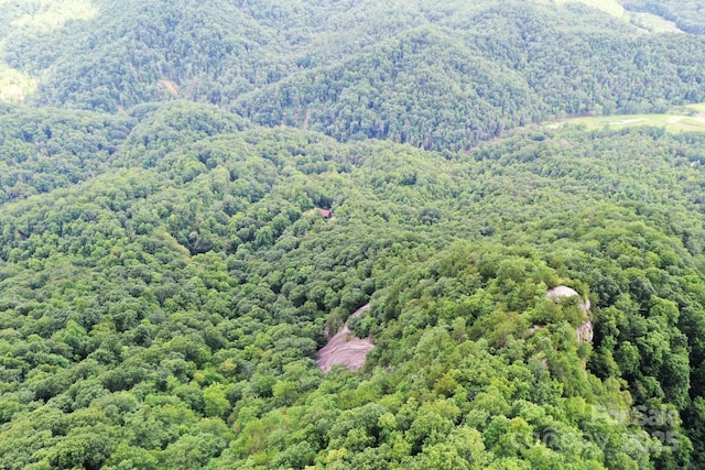 999 Shumont Rd, Black Mountain, NC 28711 - photo 4