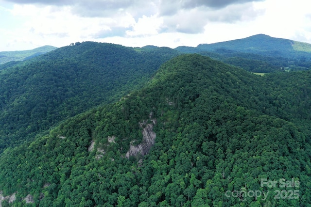 999 Shumont Rd, Black Mountain, NC 28711 - photo 15