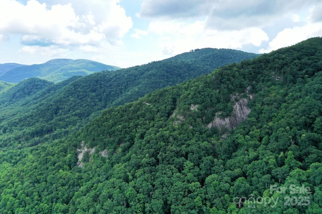 999 Shumont Rd, Black Mountain, NC 28711 - photo 16