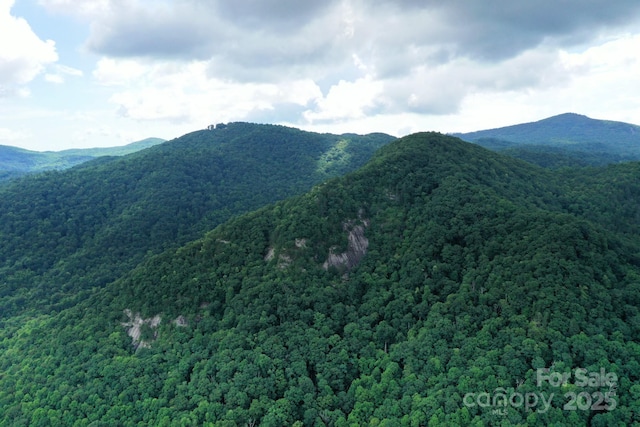 999 Shumont Rd, Black Mountain, NC 28711 - photo 13