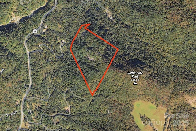 999 Shumont Rd, Black Mountain, NC 28711 - photo 24