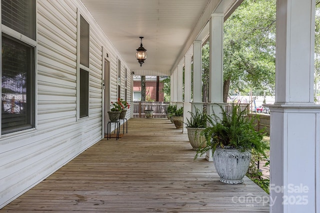 206 Elm St, Lancaster, SC 29720 - photo 41