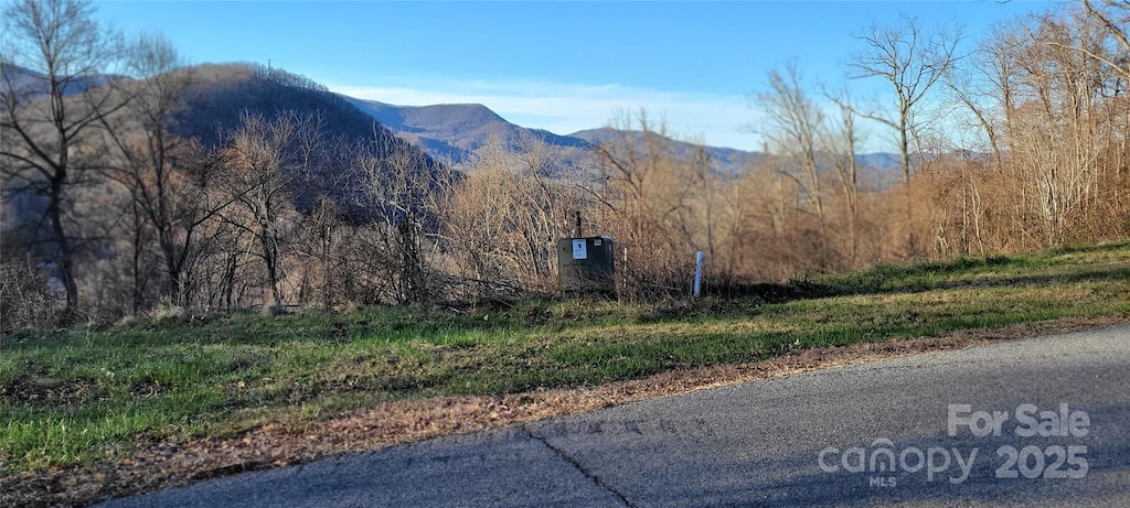 0 Rons Rdg Unit 38, Waynesville, NC 28785 - photo 2