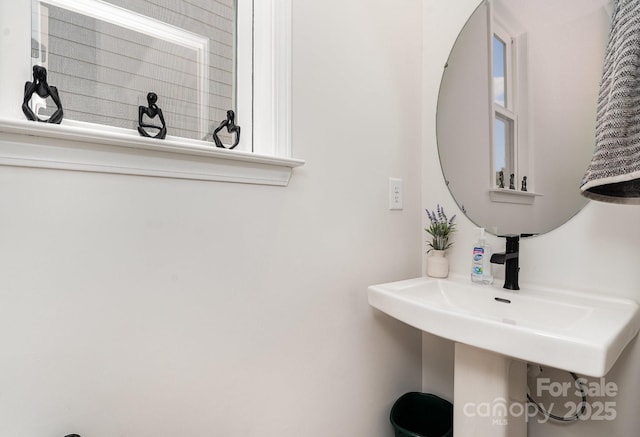 16018 River Tree Ln, Charlotte, NC 28278 - photo 12
