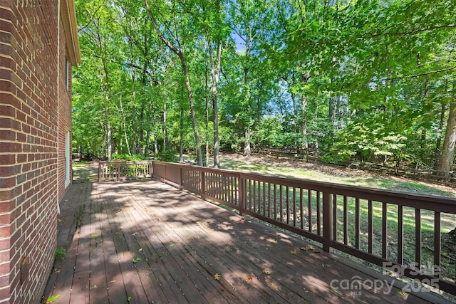 5206 Dunrobin Ln, Charlotte, NC 28226 - photo 33