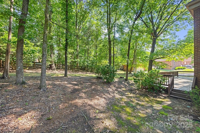 5206 Dunrobin Ln, Charlotte, NC 28226 - photo 34
