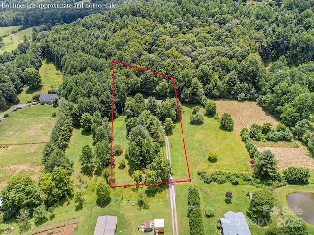 241 Upper Browns Creek Rd, Burnsville, NC 28714 - photo 4