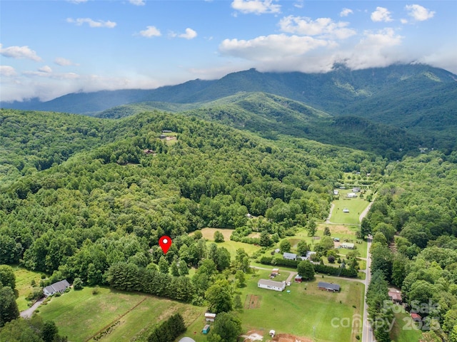 241 Upper Browns Creek Rd, Burnsville, NC 28714 - photo 5