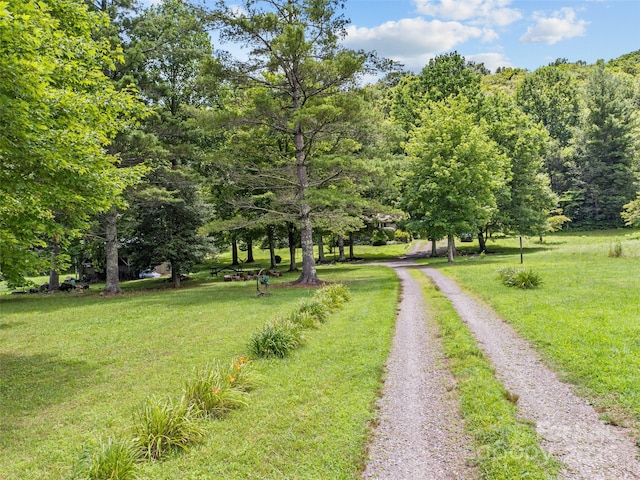 241 Upper Browns Creek Rd, Burnsville, NC 28714 - photo 6