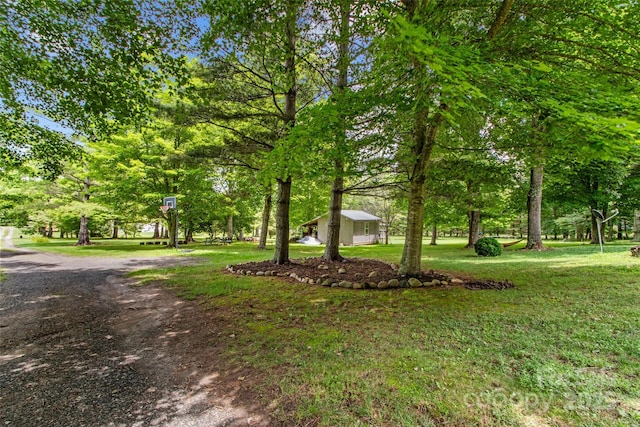 241 Upper Browns Creek Rd, Burnsville, NC 28714 - photo 34