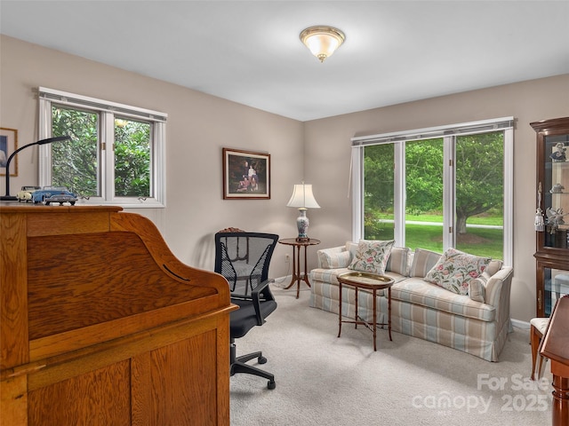 30 Beaumont Dr, Hendersonville, NC 28739 - photo 19